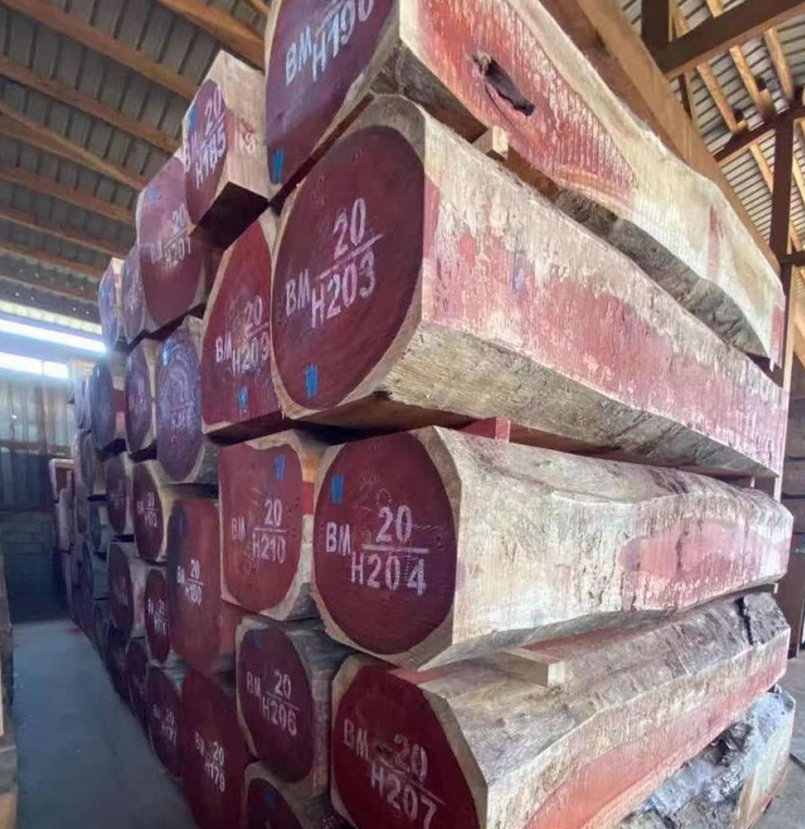 Phân phối và nhập khẩu gỗ - Công Ty Cổ Phần Thương Mại Và Vận Tải Biển SNT